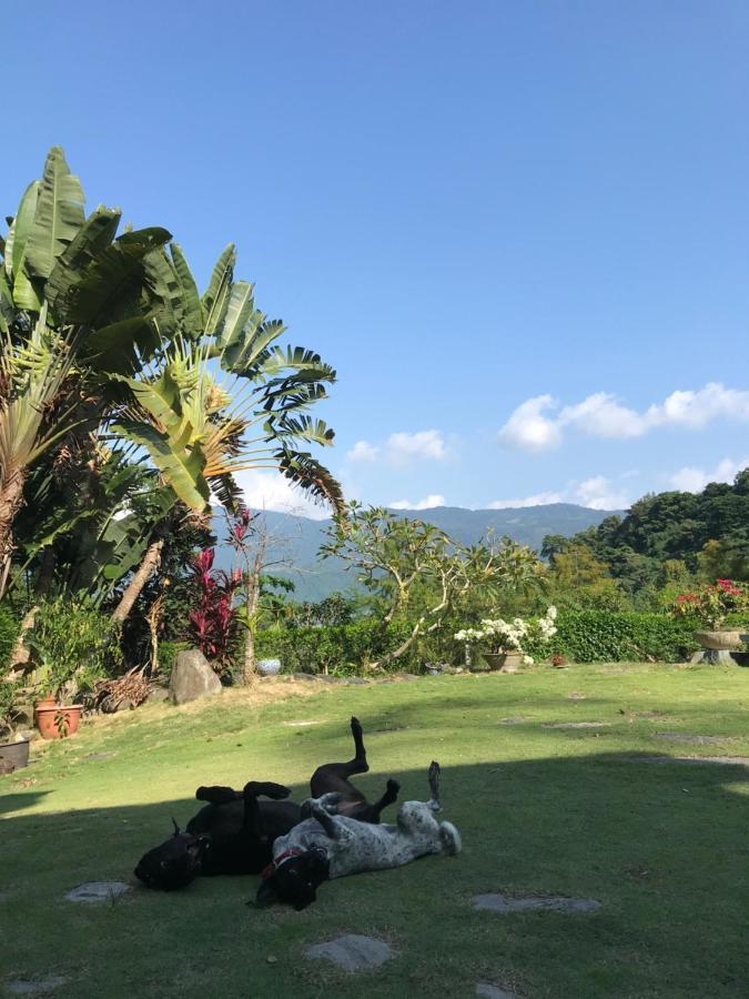 Wisdom Garden Home Stay Юли Екстериор снимка